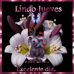 Imágenes para los jueves