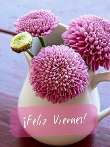 Imagenes Y Frases De Feliz Viernes
