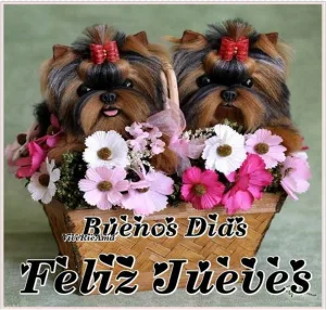 Imajenes feliz jueves para Facebook