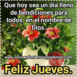 Imágenes que digan feliz jueves