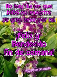 Inicio De Semana Feliz