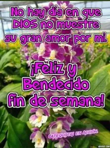 Inicio de semana feliz