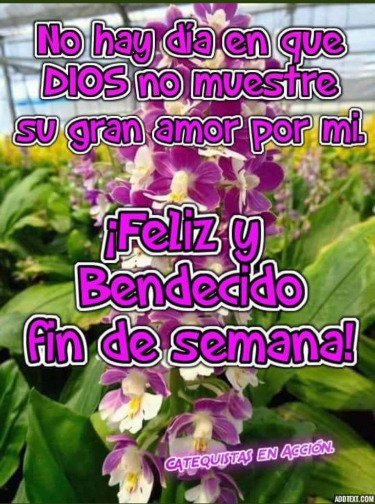 Inicio De Semana Feliz