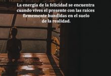 Photo of La Energia De La Felicidad Se Encuentra Cuando Vives El Presente Con Las Raices Firmemente Hundidas En El Suelo De La Realidad frases bonitas