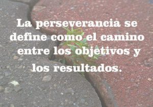 La perseverancia se define como el camino entre los objetivos y los resultados frases bonitas