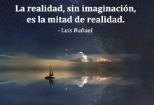 Photo of La Realidad Sin Imaginacion Es La Mitad De Realidad frases bonitas