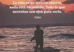 La vida es un secreto abierto nada esta escondido todo lo que necesitas son ojos para verlo frases bonitas
