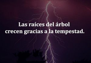 Las Raices Del Arbol Crecen Gracias A La Tempestad frases bonitas