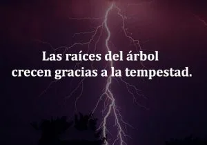 Las raices del arbol crecen gracias a la tempestad frases bonitas