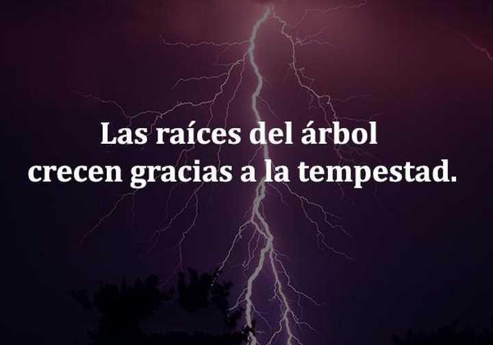Las Raices Del Arbol Crecen Gracias A La Tempestad frases bonitas –  Imágenes de bonitas para descargar gratis
