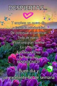 Lindo Fin De Semana Mi Amor