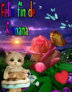 Memes Del Fin De Semana