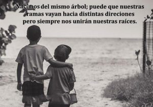 Nacimos Del Mismo Arbol Puede Que Nuestras Ramas Vayan Hacia Distintas Direcciones Pero Siempre Nos Uniran Nuestras Raices frases bonitas