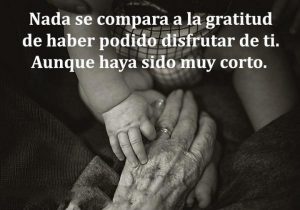 Nada se compara a la gratitud de haber podido disfrutar de ti aunque haya sido muy corto frases bonitas