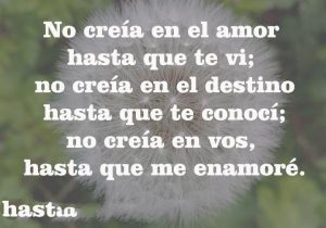 No creia en el amor hasta que te vi no creia en el destino hasta que te conoci no creia en vos hasta que me enamore frases bonitas