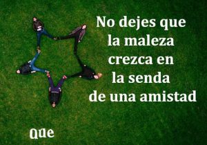 No dejes que la maleza crezca en la senda de una amistad frases bonitas