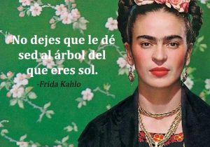 No Dejes Que Le De Sed Al Arbol Del Que Eres Sol frases bonitas