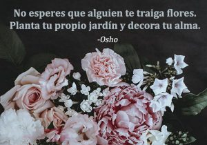 No Esperes Que Alguien Te Traiga Flores Planta Tu Propio Jardin Y Decora Tu Alma frases bonitas