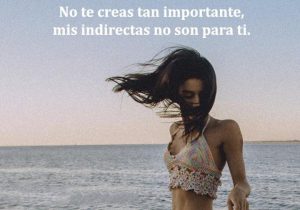 No Te Creas Tan Importante Mis Indirectas No Son Para Ti frases bonitas