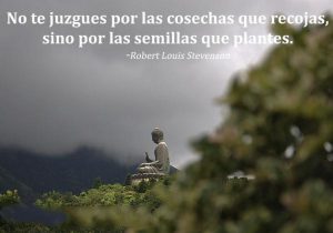 No Te Juzgues Por Las Cosechas Que Recojas Sino Por Las Semillas Que Plantes frases bonitas