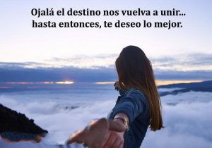 Ojala El Destino Nos Vuelva A Unir Hasta Entonces Te Deseo Lo Mejor frases bonitas
