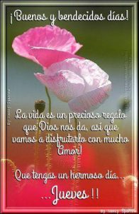 Pensamientos De Jueves