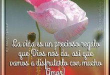 Photo of Pensamientos De Jueves