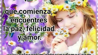 Photo of Pensamientos De Jueves Para Facebook