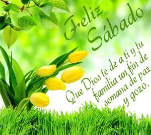 Por Fin Fin De Semana