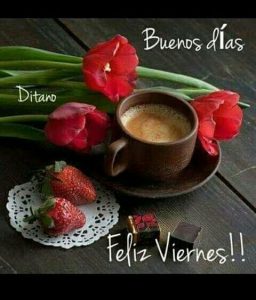 Por Fin Viernes Fotos