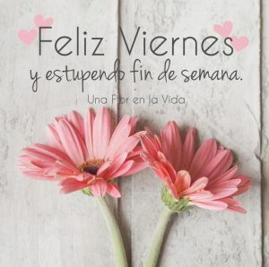 Por Fin Viernes Frases