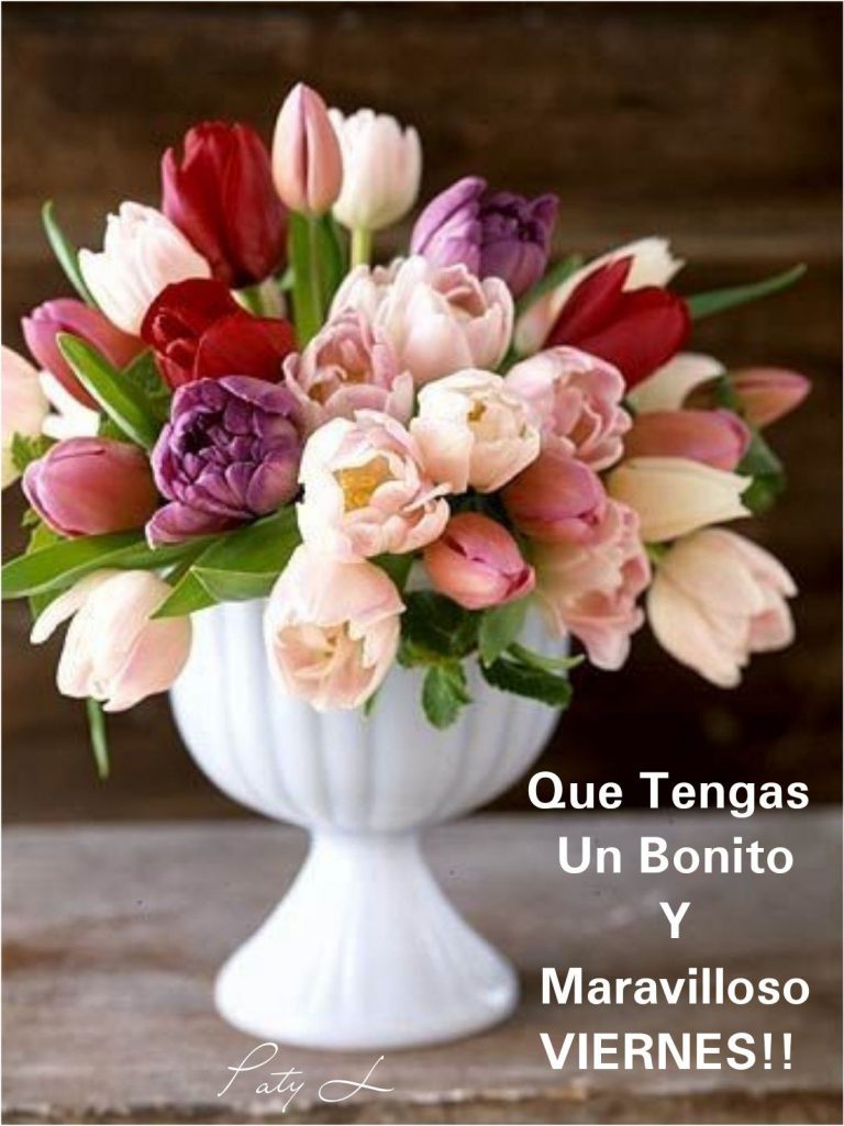 Postales De Viernes Social