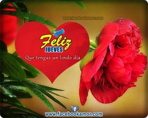 Postales Del Dia Jueves Para Celular Descargar