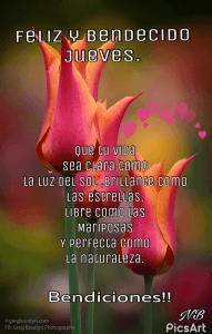 Postales Feliz Jueves