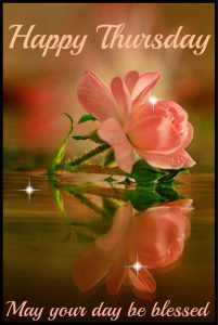 Postales Gratis De Feliz Jueves Para Facebook