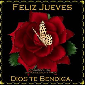 Reflexion Del Dia Jueves