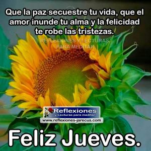 Reflexion Del Dia Jueves Para Celular Descargar