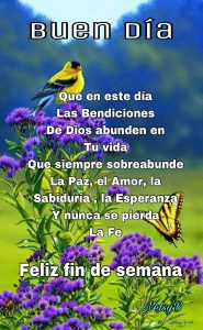 Reflexiones De Fin De Semana