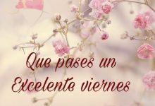 Photo of Reflexiones De Viernes Social