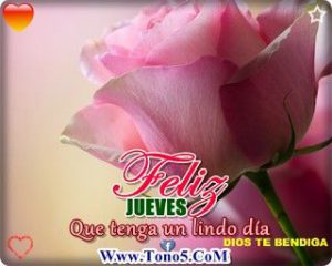 Reflexiones Para Jueves