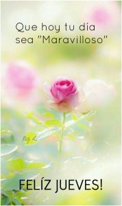 Reflexiones para jueves para Facebook