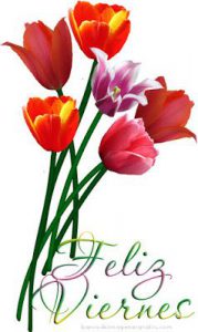 Saludos Para Viernes