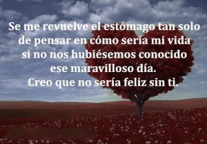 Se Me Revuelve El Estomago Tan Solo De Pensar En Como Seria Mi Vida Si No Nos Hubiesemos Conocido Ese Maravilloso Dia Creo Que No Seria Feliz Sin Ti frases bonitas