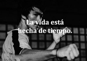 Si Amas La Vida No Puedes Perder El Tiempo La Vida Esta Hecha De Tiempo frases bonitas