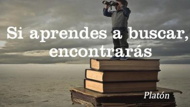 Photo of Si Aprendes A Buscar Encontraras frases bonitas
