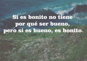 Si Es Bonito No Tiene Por Que Ser Bueno Pero Si Es Bueno Es Bonito frases bonitas
