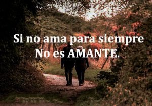 Si No Ama Para Siempre No Es Un Amante frases bonitas