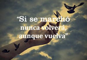 Si Se Marcho Nunca Volvera Aunque Vuelva frases bonitas