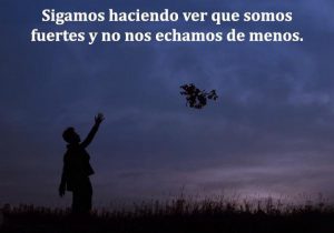 Sigamos Haciendo Ver Que Somos Fuertes Y No Nos Echamos De Menos frases bonitas