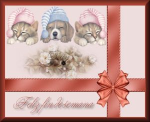 Tarjetas De Fin De Semana